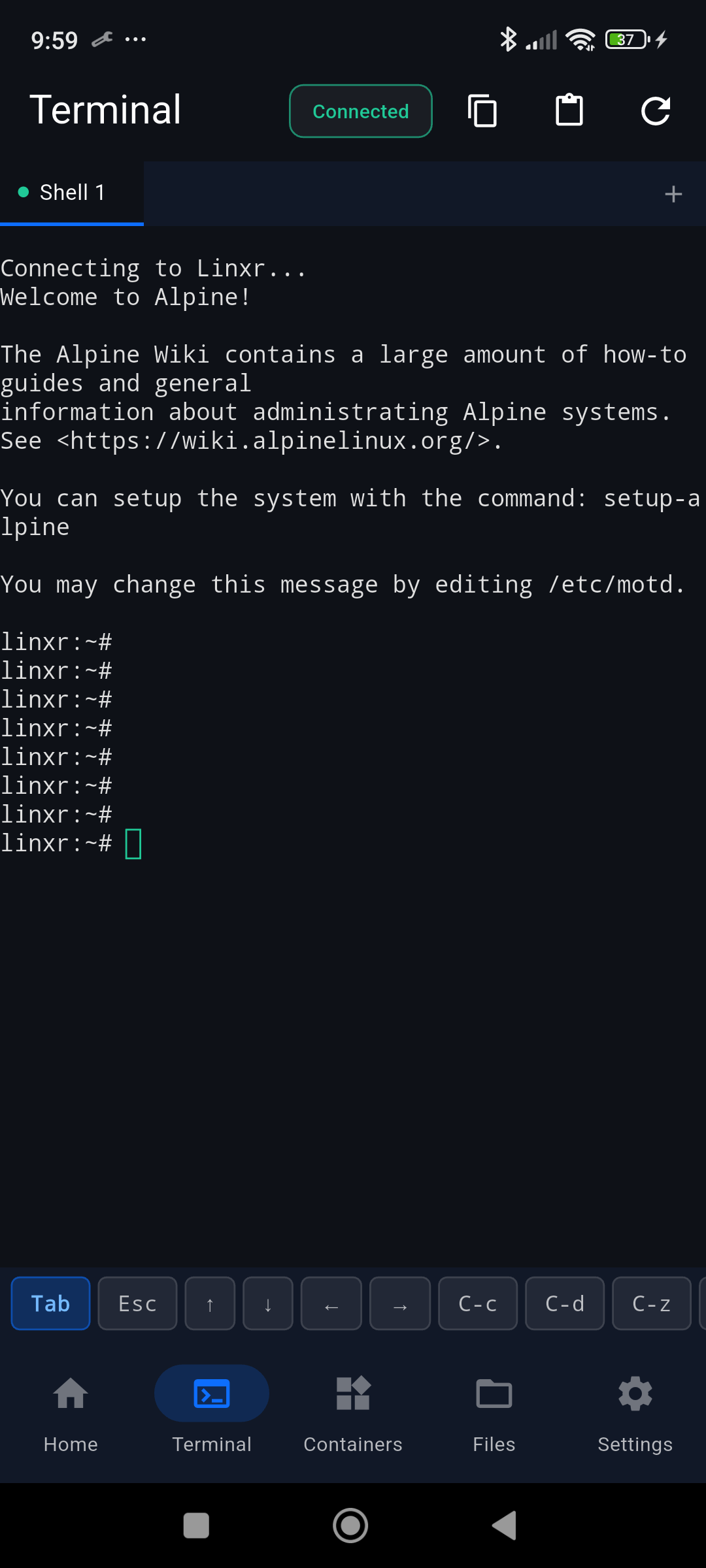 Terminal connected